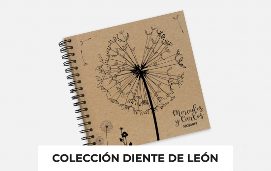 Boda_Dent_de_Lleo_ESP