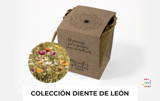 Boda_Dent_de_Lleo_maceta_ESP