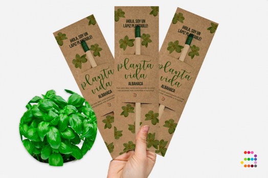 ALBAHACA-Llapis-plantables_ESP