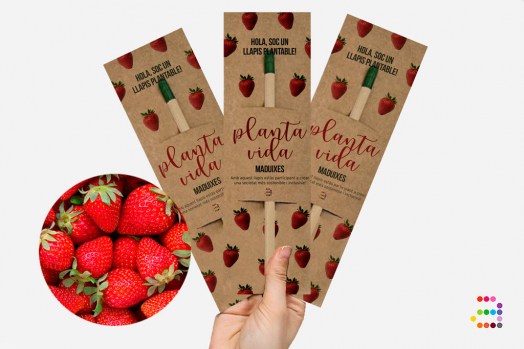 FRESAS-Llapis-plantables_CAT