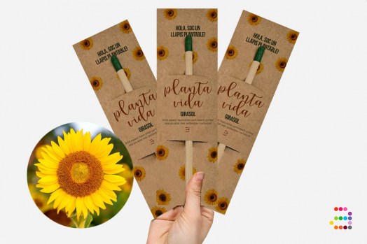 GIRASOL_Llapis-plantables_CAT