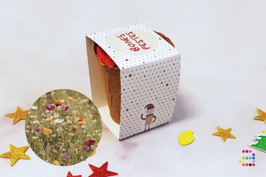 Maceta_Campana_semillas