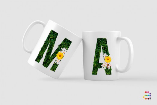 TAZA-green-collection